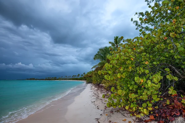 Côtes tropicales de l'océan par mauvais temps — Photo