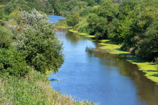 Krajobraz stepowy i rzeki — Zdjęcie stockowe