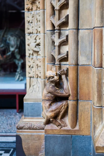 23. 07. 2015 LONDRES, Reino Unido, Museu de História Natural - construção e detalhes — Fotografia de Stock