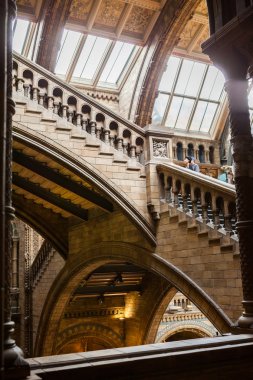 23. 07. 2015 Londra, İngiltere, Doğal Tarih Müzesi - bina ve Ayrıntılar