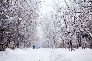 Peyzaj Park geçen insanlar ile kar yağışı