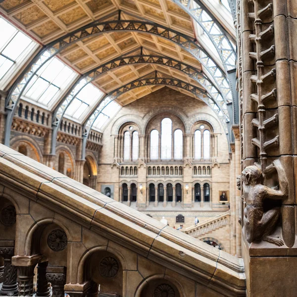 23. 07. 2015 LONDRES, Reino Unido, Museo de Historia Natural - edificio y detalles — Foto de Stock