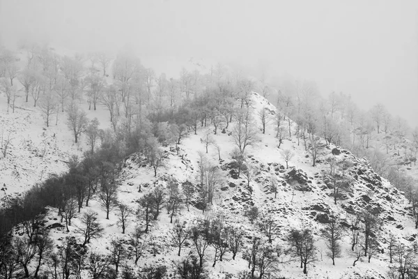 Dağ manzarası ile kar kış — Stok fotoğraf