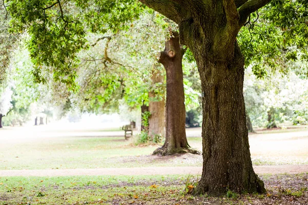 Vista desde Kew Gardens, Royal Botanical Gardens en Londres — Foto de Stock