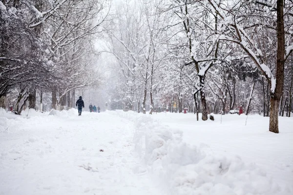 下雪在公园里的景观与路过的人 — 图库照片