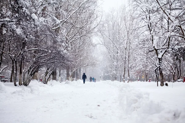 Paisagem nevando no parque com pessoas passando por — Fotografia de Stock