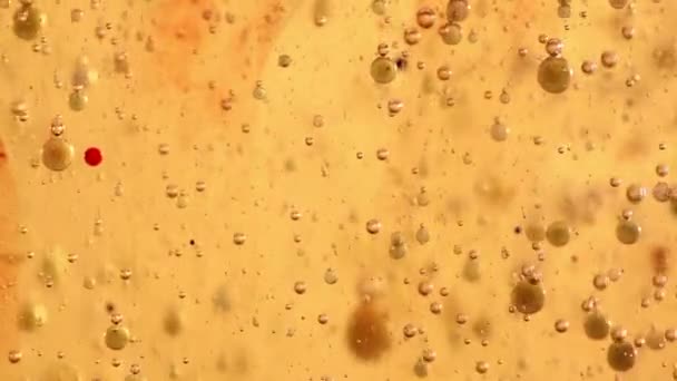 Gashoudende mix van olie, water en kleurrijke inkt. Bewegende bubbels — Stockvideo