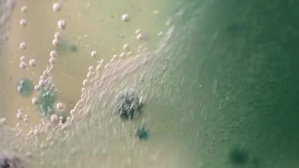 Mix effervescente di olio, acqua e inchiostro colorato. Bolle mobili — Video Stock