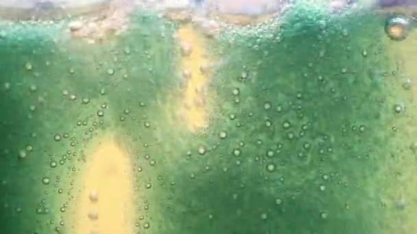 Mélange effervescent d'huile, d'eau et d'encre colorée. Bulles en mouvement — Video