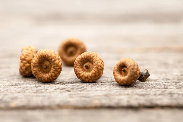 Bodegón composición / marco con pequeñas bellotas sobre una antigua superficie de madera. Hermosa composición vintage — Foto de Stock