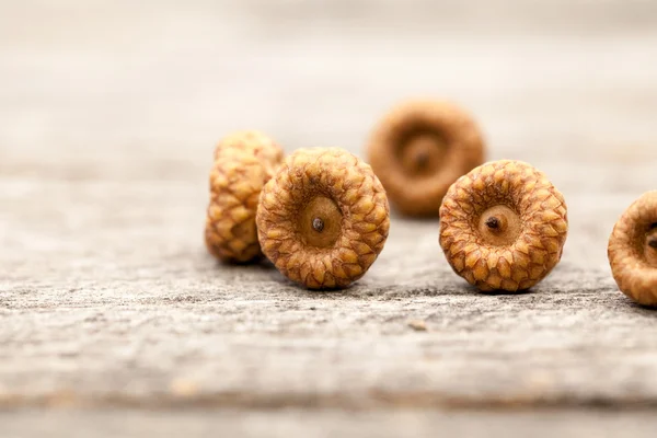 Bodegón composición / marco con pequeñas bellotas sobre una antigua superficie de madera. Hermosa composición vintage — Foto de Stock