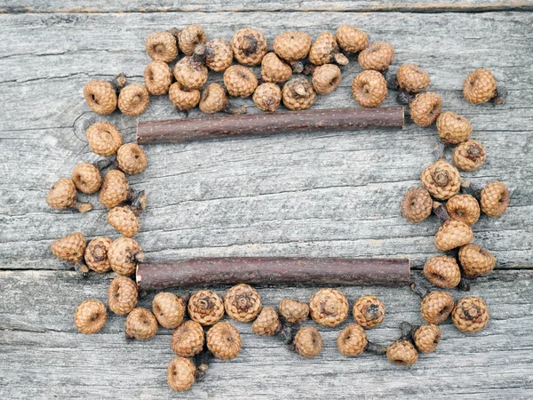 Still life composition/ frame with tiny acorns and wooden sticks on an old wooden surface. Beautiful vintage composition — Stock Photo, Image