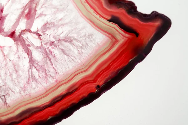 Agate - belles tranches colorées et texture — Photo