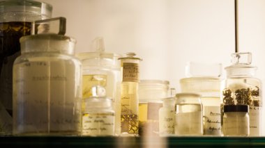 Londra, İngiltere - 27 Temmuz 2015: Doğal Tarih Müzesi - korunmuş hayvanlar ve türler, laboratuvar ayrıntıları