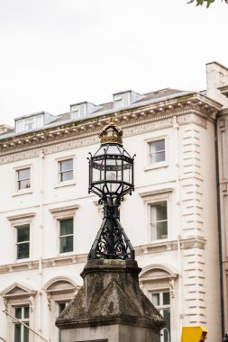 Doğal Tarih Müzesi Londra-bina ve Ayrıntılar