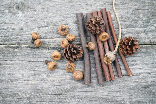 Acorn, autumn, background, beautiful, border, bright, brown, closeup, colorful, copy, cute, decoration, decorative, design, fall, frame, grungy, halloween, holiday, life, light, nature, old, orange, photography, seasonal, shape, small, space, still, — Stock Photo, Image