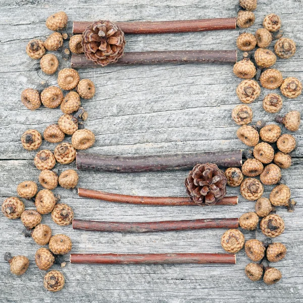 Still Life Composition Frame Tiny Acorns Wooden Sticks Old Wooden — Stock Photo, Image