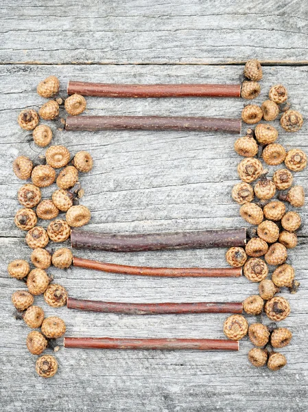 Acorn, autumn, background, beautiful, border, bright, brown, closeup, colorful, copy, cute, decoration, decorative, design, fall, frame, grungy, halloween, holiday, life, light, nature, old, orange, photography, seasonal, shape, small, space, still, — Stock Photo, Image