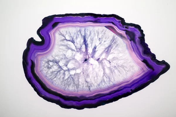 Agate - belles tranches colorées et texture — Photo