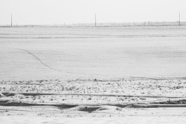 Alan ve kurutulmuş bitkiler ile kış manzarası