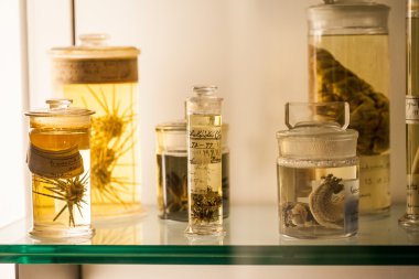 Londra, İngiltere - 27 Temmuz 2015: Doğal Tarih Müzesi - korunmuş hayvanlar ve türler, laboratuvar ayrıntıları