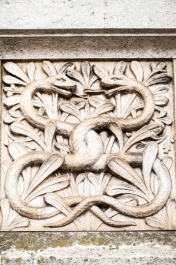 23. 07. 2015 Londra, İngiltere, Doğal Tarih Müzesi - bina ve Ayrıntılar