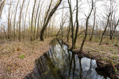 Geç sonbaharda güzel, renkli yaprakları ile parkta. Balık gözü lens etkileri