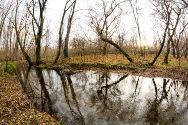 Geç sonbaharda güzel, renkli yaprakları ile parkta. Balık gözü lens etkileri