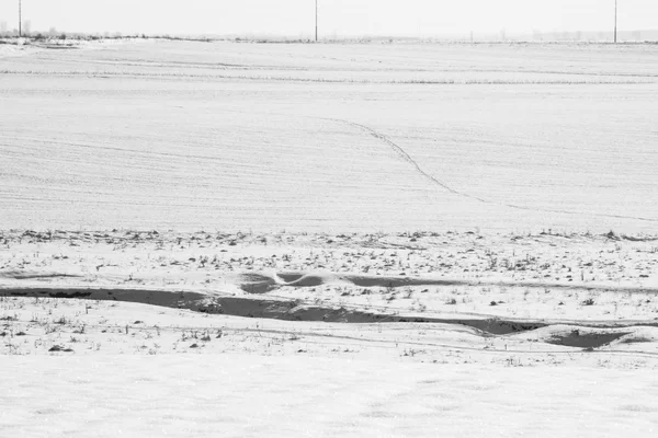 फील्ड आणि वाळलेल्या वनस्पतींसह हिवाळी लँडस्केप — स्टॉक फोटो, इमेज