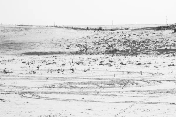 Paysage hivernal avec champs et plantes séchées — Photo