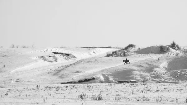 Paysage hivernal avec cheval et cavalier et chien sur le terrain — Photo