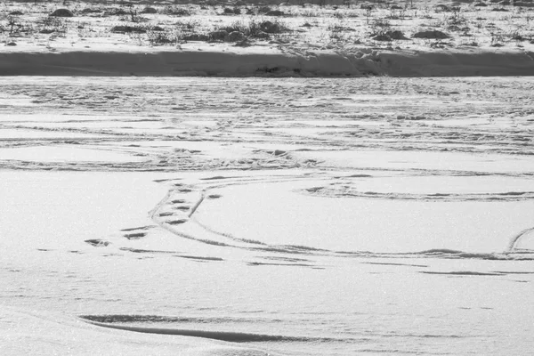 फील्ड आणि वाळलेल्या वनस्पतींसह हिवाळी लँडस्केप — स्टॉक फोटो, इमेज