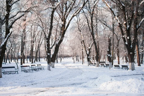 Nieva el paisaje en el parque — Foto de Stock