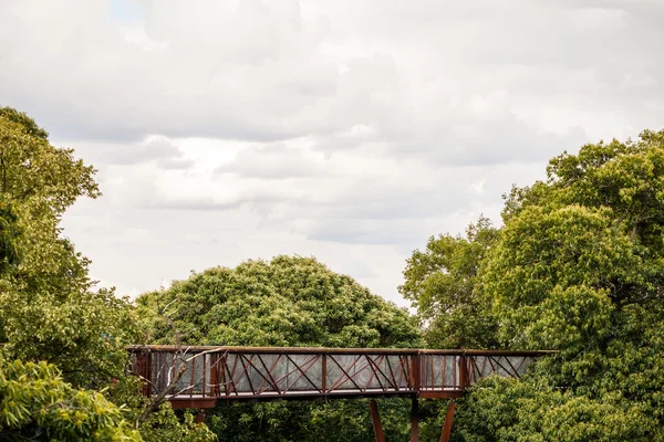 Imponująca Tree House w Royal Kew Gardens, Londyn, Wielka Brytania — Zdjęcie stockowe