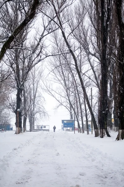 下雪在公园里的景观 — 图库照片