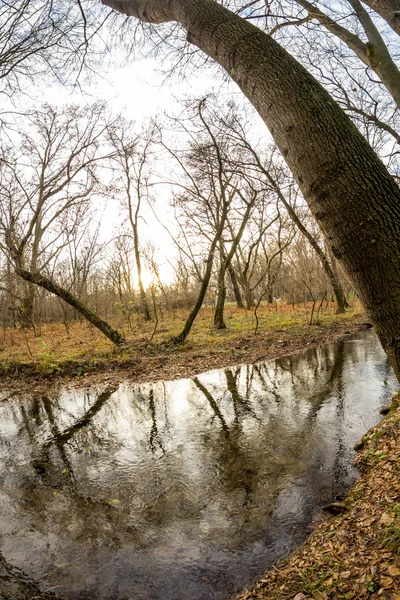 Pozdní podzim v parku s krásné, barevné listy. Efekty rybí oko objektivu — Stock fotografie