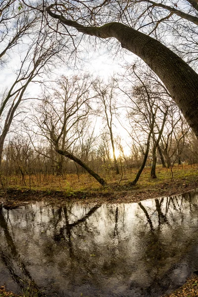 Pozdní podzim v parku s krásné, barevné listy. Efekty rybí oko objektivu — Stock fotografie