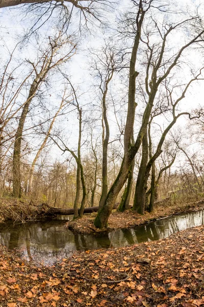 Pozdní podzim v parku s krásné, barevné listy. Efekty rybí oko objektivu — Stock fotografie