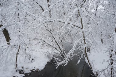 Peyzaj Park kar yağışı 