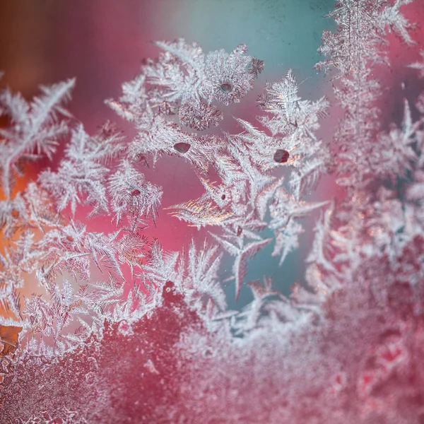 氷のテクスチャと背景 - ガラスの花。高解像度、シャープ、美しい詳細 — ストック写真