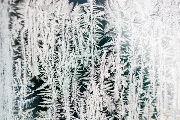 Flores de hielo sobre vidrio - textura y fondo. Alta resolución y detalles nítidos y hermosos — Foto de Stock