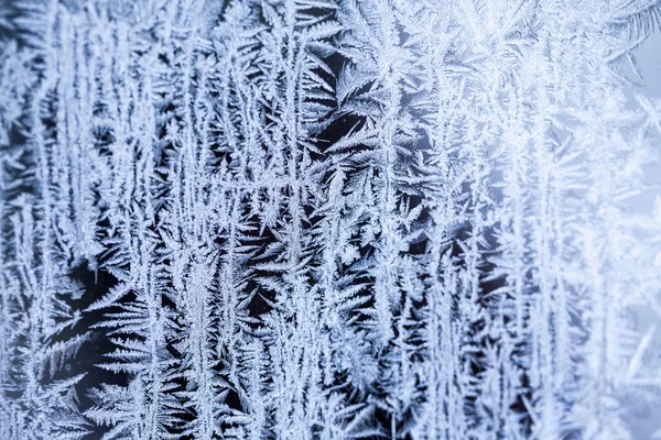 Flores de hielo sobre vidrio - textura y fondo. Alta resolución y detalles nítidos y hermosos —  Fotos de Stock