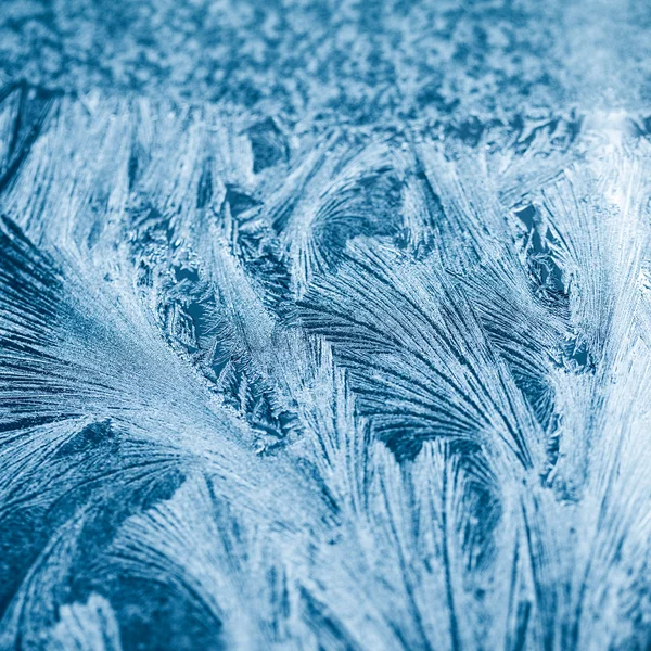 氷のテクスチャと背景 - ガラスの花。高解像度、シャープ、美しい詳細 — ストック写真