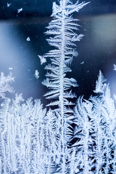 Квіти льоду на склі - текстура і фон. Висока роздільна здатність і гострі, красиві деталі — стокове фото