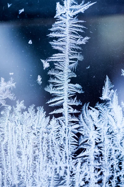 Flores de hielo sobre vidrio - textura y fondo. Alta resolución y detalles nítidos y hermosos —  Fotos de Stock