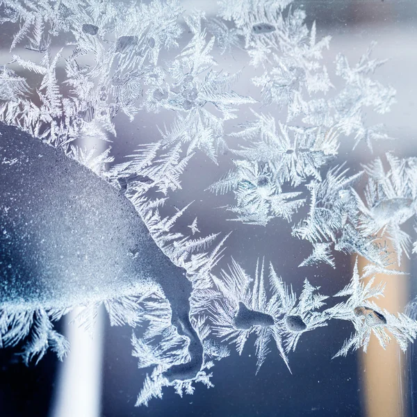 Flores de hielo sobre vidrio - textura y fondo. Alta resolución y detalles nítidos y hermosos —  Fotos de Stock