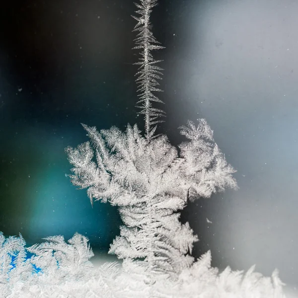 氷のテクスチャと背景 - ガラスの花。高解像度、シャープ、美しい詳細 — ストック写真