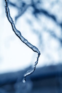 Buz ve buz sarkıtları ağlayan söğüt ağacı üzerinde