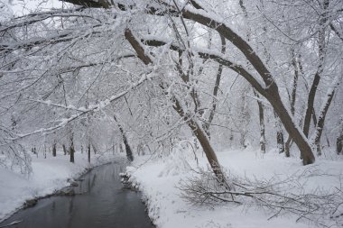 Peyzaj Park kar yağışı 