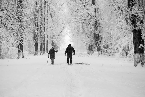 Paisagem nevando no parque — Fotografia de Stock